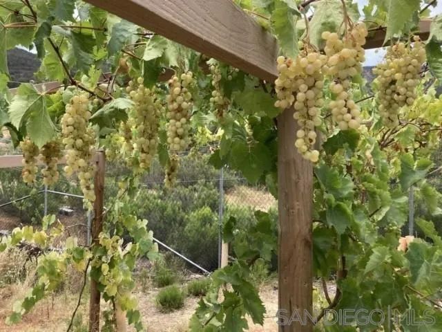 8209 Mesa, Santee, CA 92071