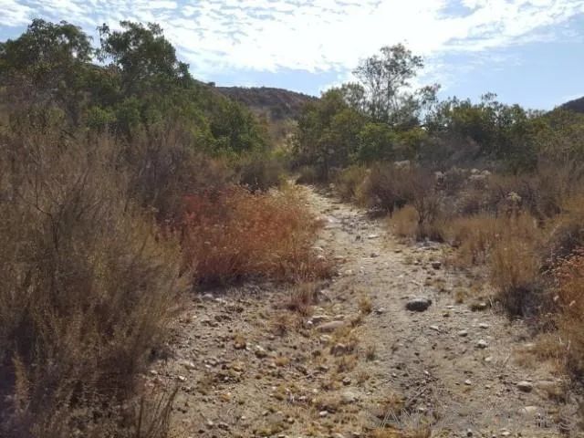 8209 Mesa, Santee, CA 92071