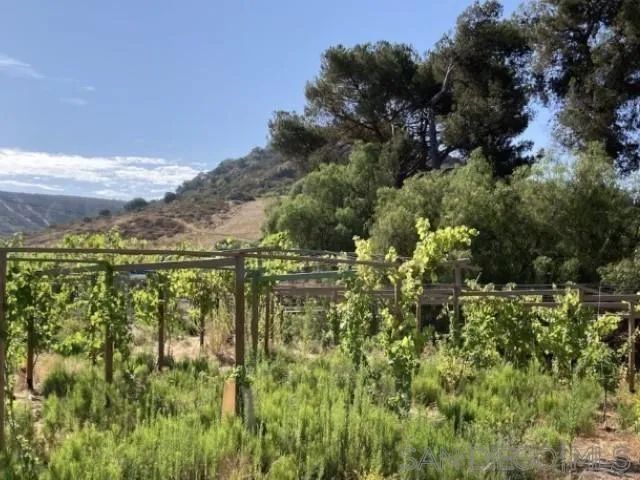 8209 Mesa, Santee, CA 92071