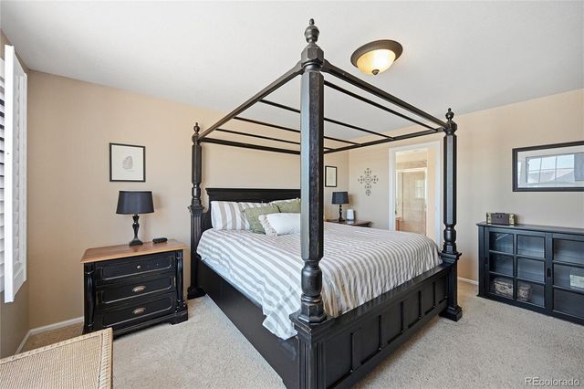 4118 Scarlet Oak Court, Castle Rock, CO 80109