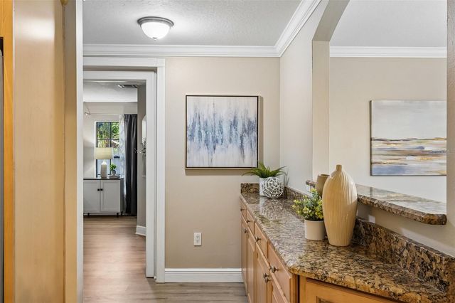 8315 TERRACEWOOD CIRCLE, Tampa, FL 33615