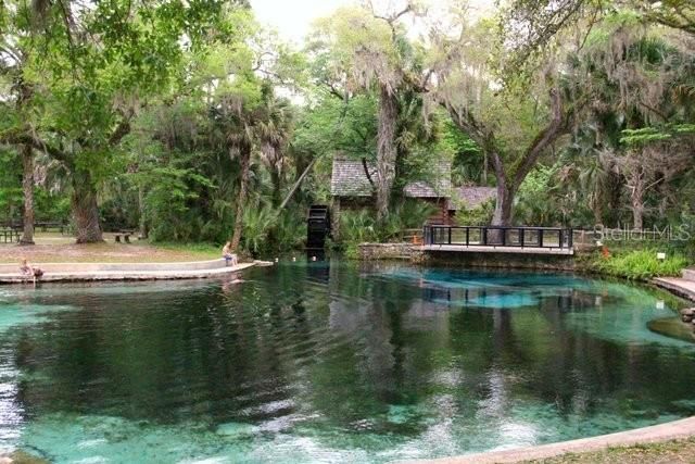 13261 NE 155TH LANE, Fort Mc Coy, FL 32134