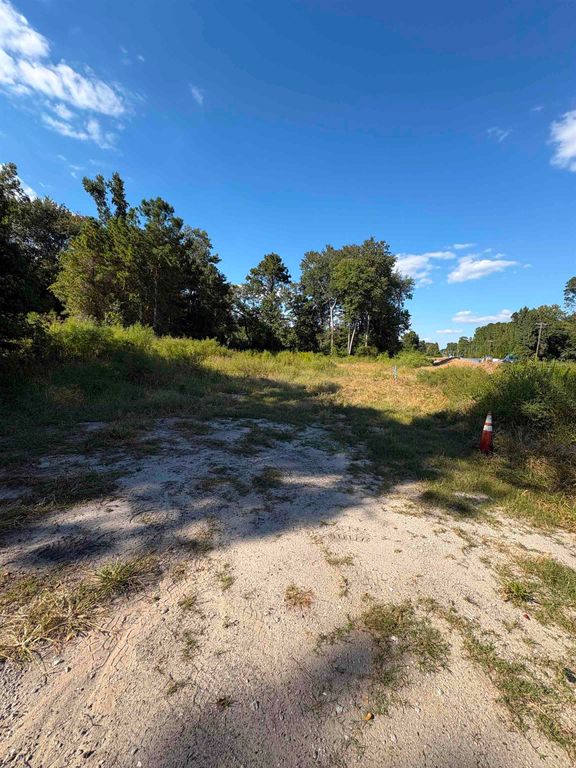 TBD Red Bluff Rd., Loris, SC 29569 — photo 3