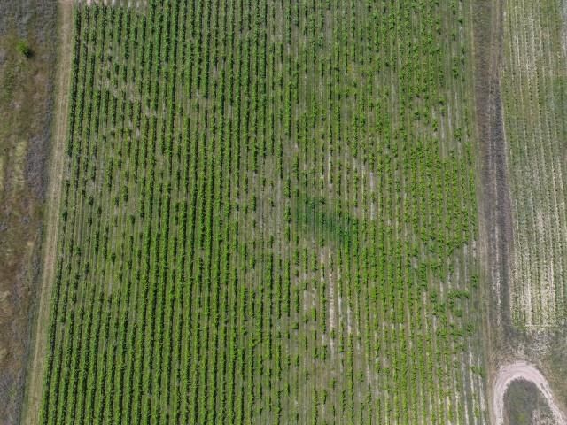 0 Nelson Road, Traverse City, MI 49686