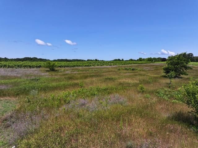 0 Nelson Road, Traverse City, MI 49686