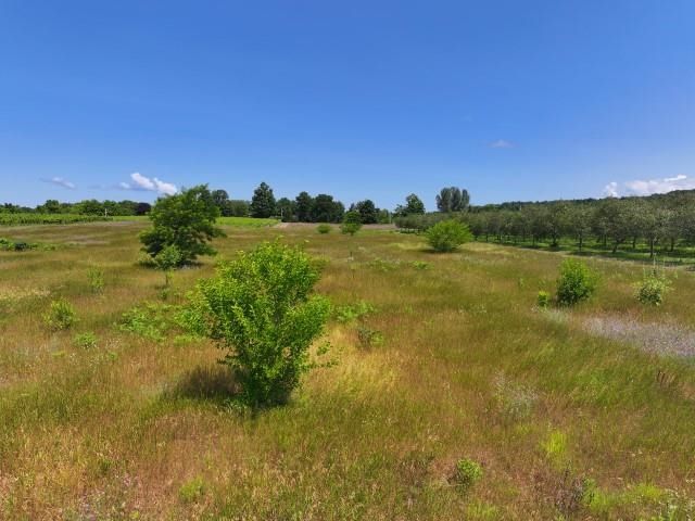 0 Nelson Road, Traverse City, MI 49686