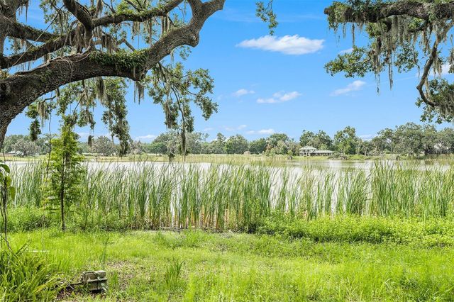 14050 BLACKJACK ROAD, Dover, FL 33527