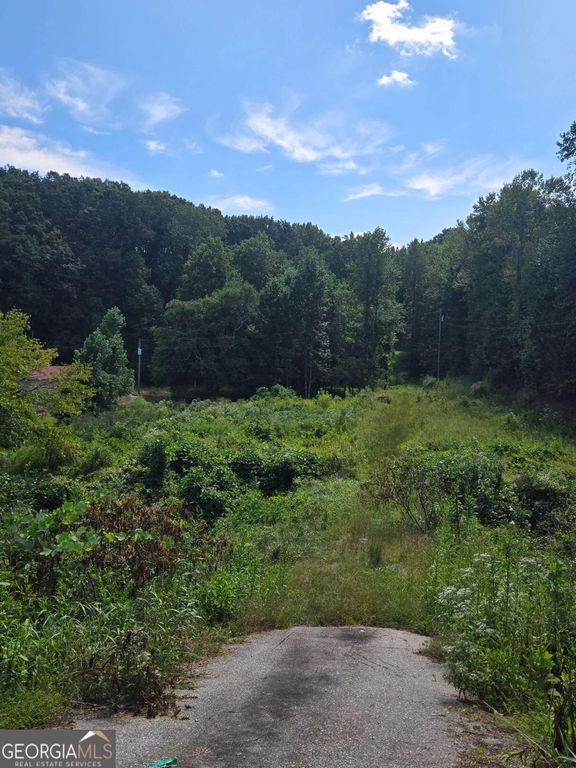 0 Highway 115 E, Cleveland, GA 30528