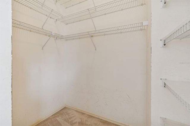 9309 ROCKROSE DRIVE, Tampa, FL 33647