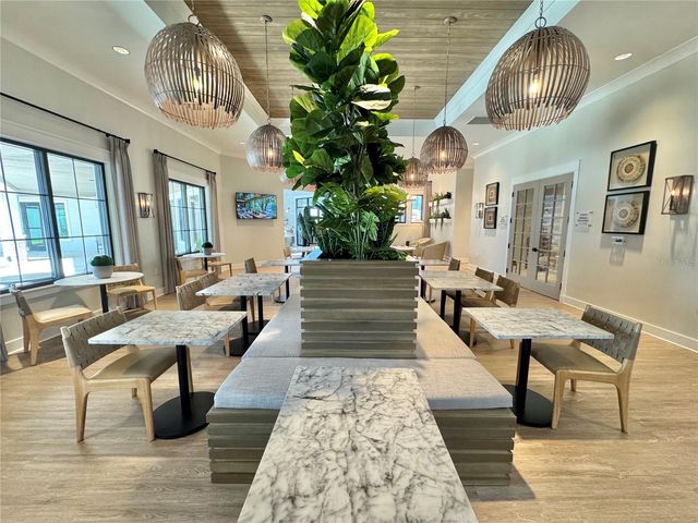 12842 LILY QUARTZ LOOP, Parrish, FL 34219