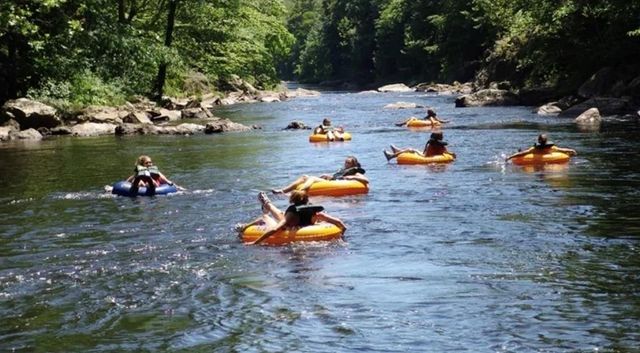 17 Tara Lane, Ellijay, GA 30540