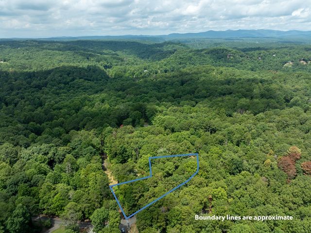 17 Tara Lane, Ellijay, GA 30540