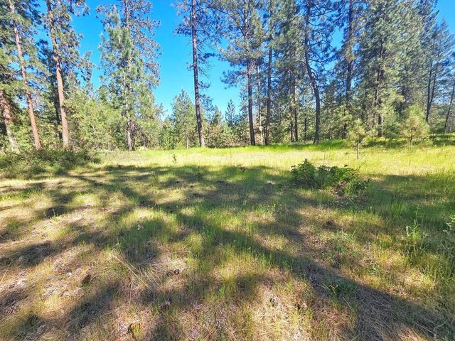 5XX Couples Ct, Chewelah, WA 99109