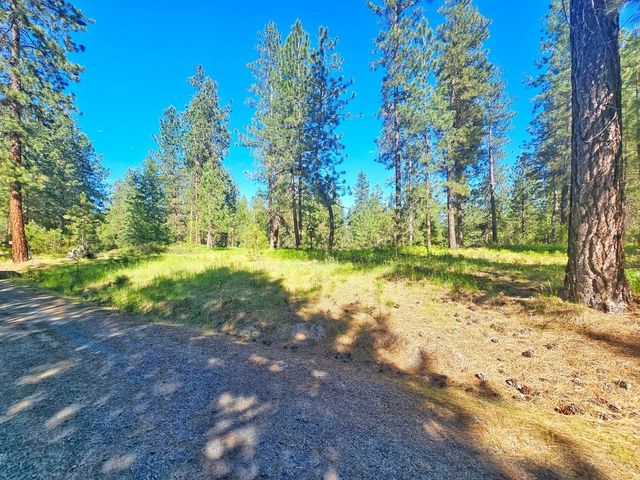 5XX Couples Ct, Chewelah, WA 99109