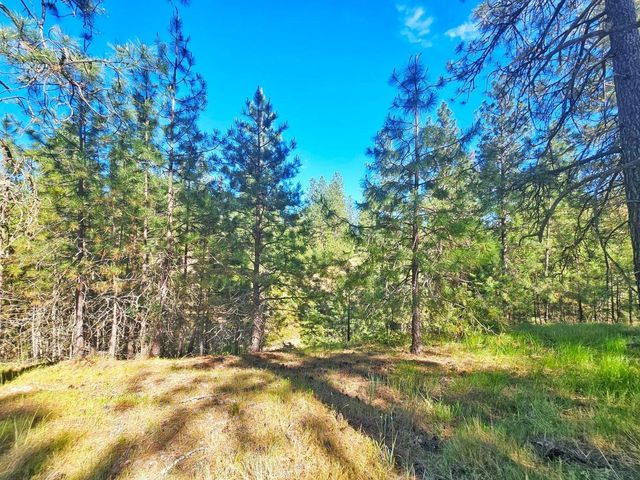 5XX Couples Ct, Chewelah, WA 99109