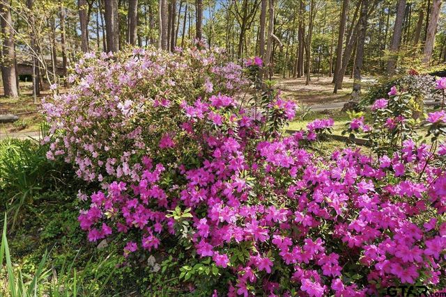 15744 Timberhill Dr, Flint, TX 75762