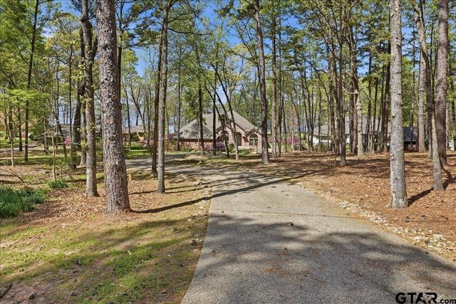 15744 Timberhill Dr, Flint, TX 75762