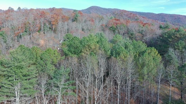 LT 2 Mr Bert Road, Hiawassee, GA 30548