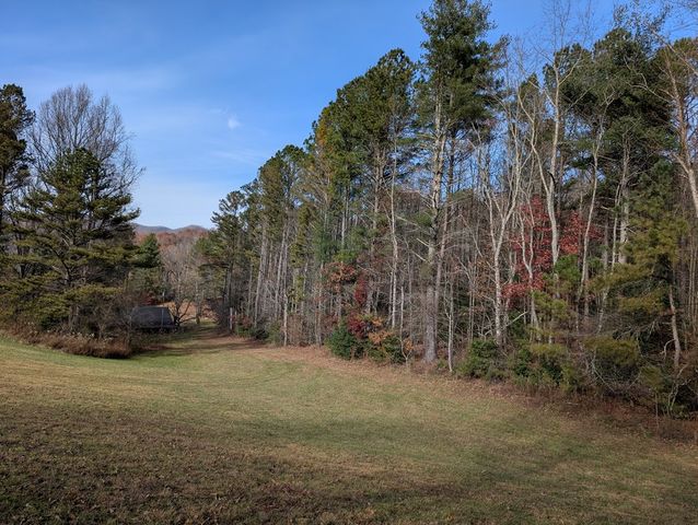 LT 2 Mr Bert Road, Hiawassee, GA 30548