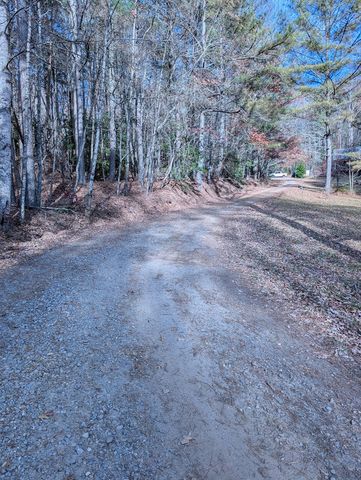 LT 2 Mr Bert Road, Hiawassee, GA 30548