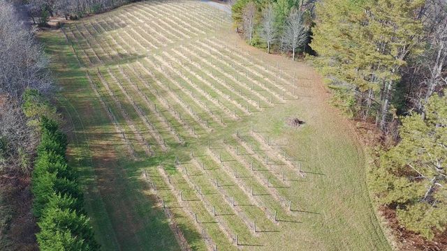 LT 2 Mr Bert Road, Hiawassee, GA 30548