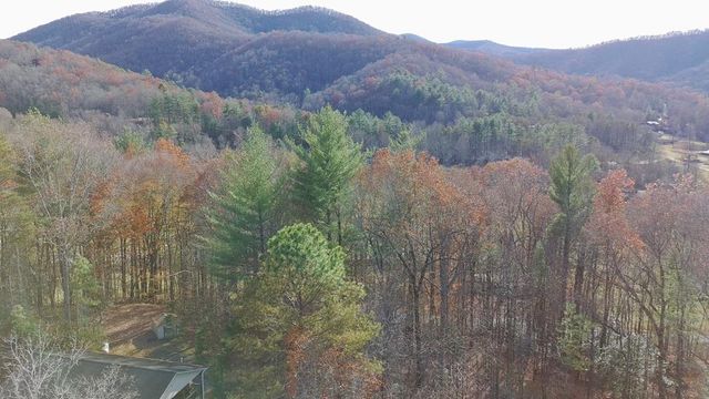 LT 2 Mr Bert Road, Hiawassee, GA 30548