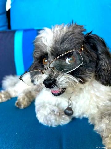 90 BRYANT Avenue Croydon-2.C, White Plains, NY 10605