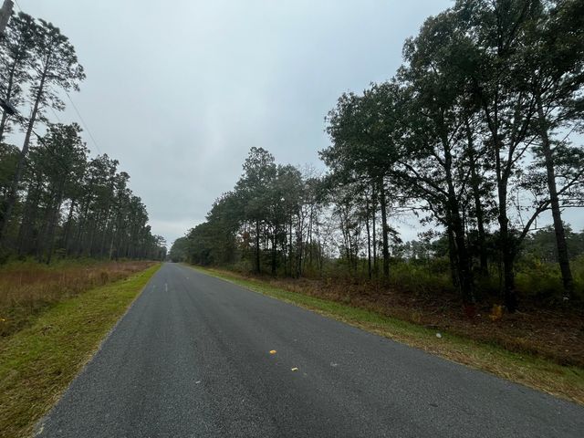 0000 Peniel Road, Walterboro, SC 29488