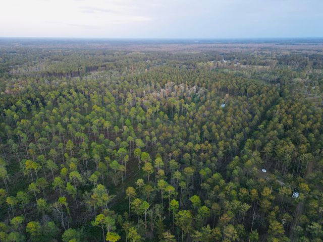 0000 Peniel Road, Walterboro, SC 29488