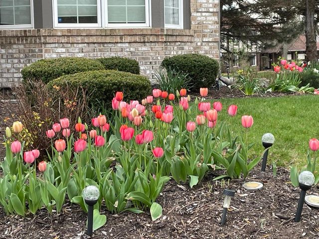 8629 Nancy Lane, Orland Park, IL 60462