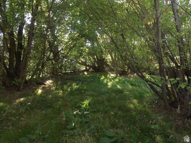 197 2ND ST, Ogden, UT 84404