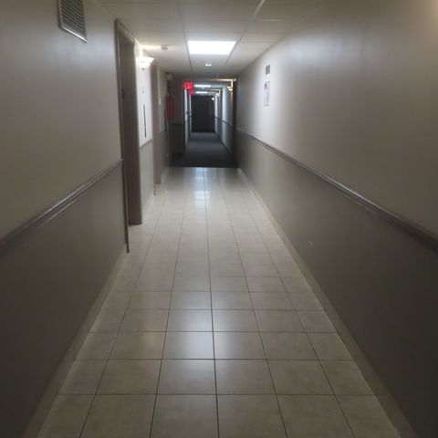 7234 W North Avenue 1008, Elmwood Park, IL 60707