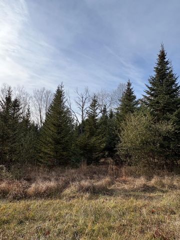 130 Watson Road, Winchester, NH 03470