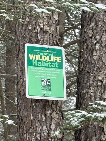 130 Watson Road, Winchester, NH 03470