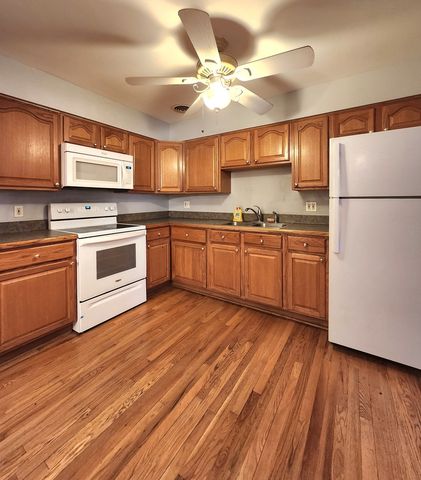 244 S Marion Street 2B, Oak Park, IL 60302