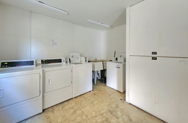 244 S Marion Street 2B, Oak Park, IL 60302