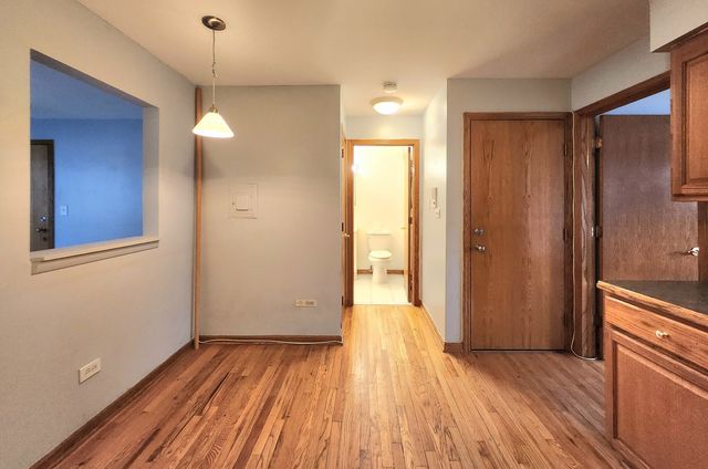 244 S Marion Street 2B, Oak Park, IL 60302
