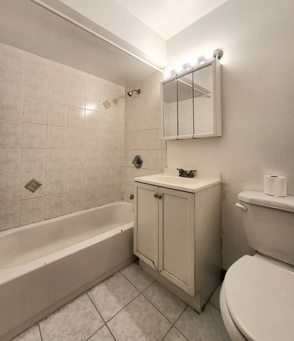 244 S Marion Street 2B, Oak Park, IL 60302