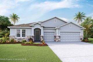 11389 Curio Drive, Brooksville, FL 34613