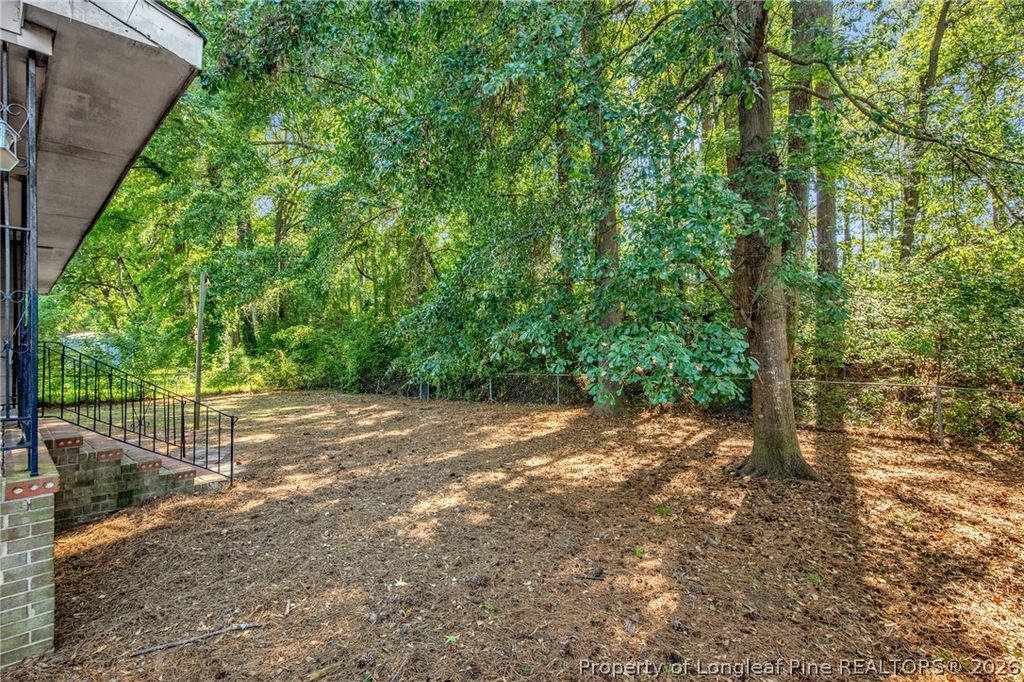 733 Goodyear Drive, Spring Lake, NC 28390 — photo 3