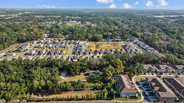 10940 TRAILING VINE DRIVE, Tampa, FL 33610