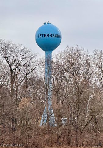 324 E Center Street, Petersburg, MI 49270