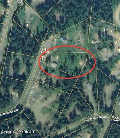 32195 Bear Chase Circle, Seward, AK 99664