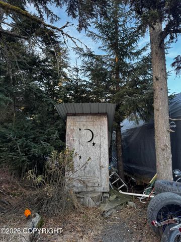 32195 Bear Chase Circle, Seward, AK 99664