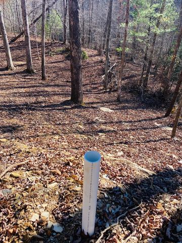 Lot 205 Windy Mountain Peak Lane, Murphy, NC 28906