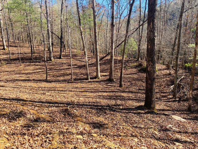 Lot 205 Windy Mountain Peak Lane, Murphy, NC 28906