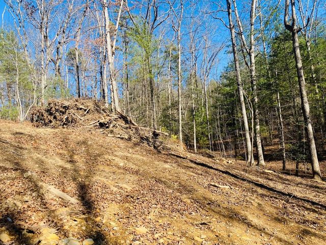 Lot 205 Windy Mountain Peak Lane, Murphy, NC 28906