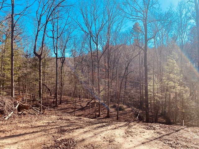 Lot 205 Windy Mountain Peak Lane, Murphy, NC 28906