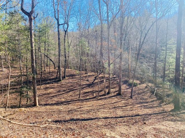 Lot 205 Windy Mountain Peak Lane, Murphy, NC 28906