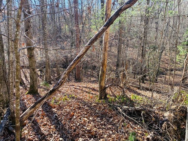 Lot 205 Windy Mountain Peak Lane, Murphy, NC 28906